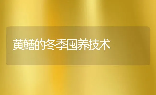 黄鳝的冬季囤养技术 | 水产养殖知识