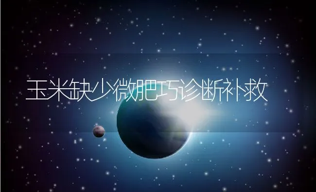 玉米缺少微肥巧诊断补救 | 动物养殖学堂