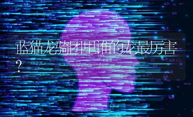 狗狗干呕发出咔咔的声音像反胃一样怎么办？ | 动物养殖问答