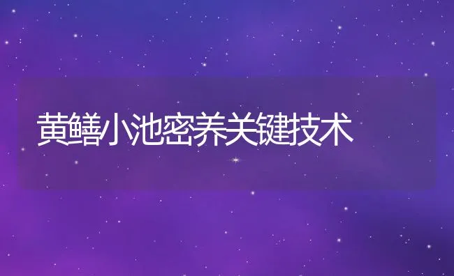 黄鳝小池密养关键技术 | 水产养殖知识