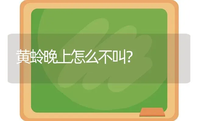 金毛犬可以剪毛吗？ | 动物养殖问答