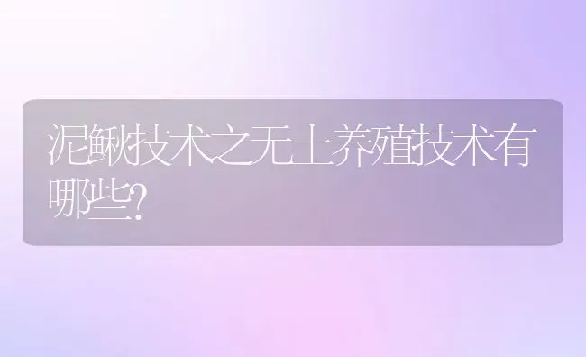 泥鳅技术之无土养殖技术有哪些？ | 动物养殖百科