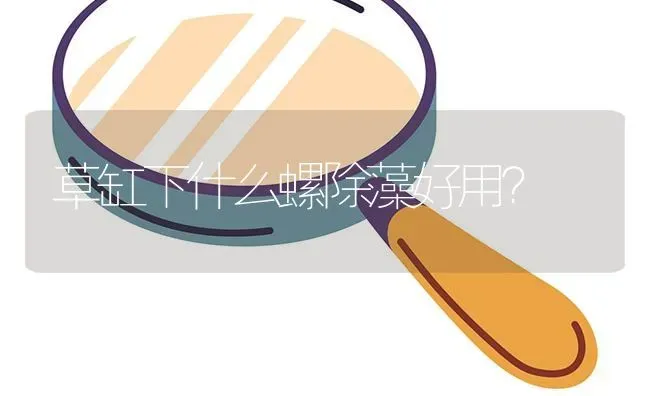 草缸下什么螺除藻好用？ | 鱼类宠物饲养