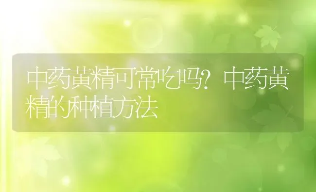 中药黄精可常吃吗?中药黄精的种植方法 | 动物养殖百科