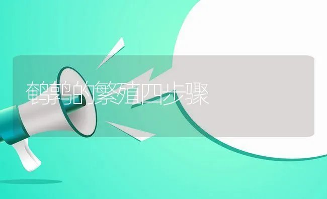 鹌鹑的繁殖四步骤 | 动物养殖学堂