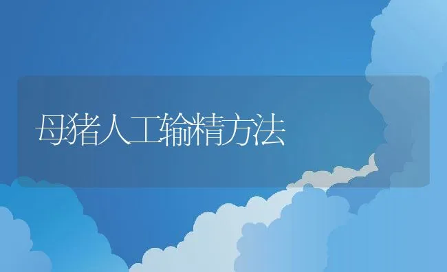 母猪人工输精方法 | 动物养殖学堂