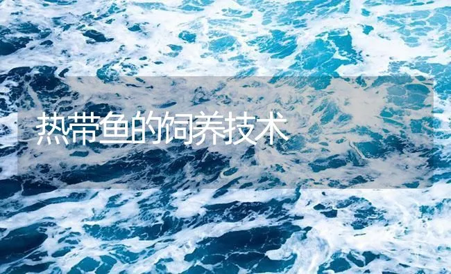 热带鱼的饲养技术 | 海水养殖技术