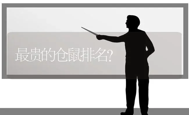 最贵的仓鼠排名？ | 动物养殖问答