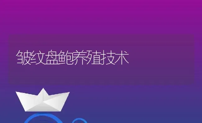 皱纹盘鲍养殖技术 | 淡水养殖技术