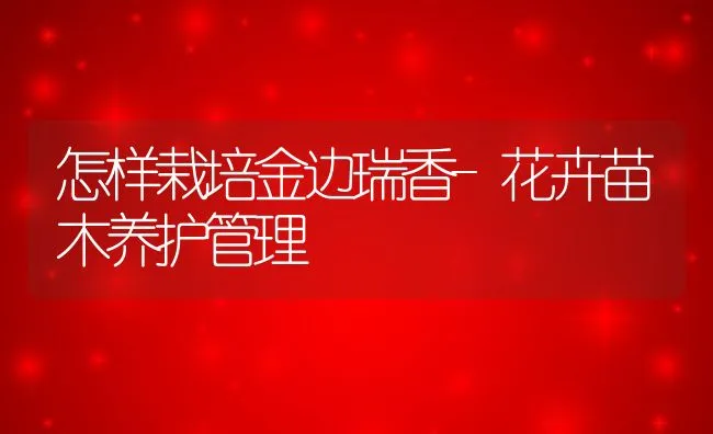 干奶期饲养四要点 | 动物养殖学堂