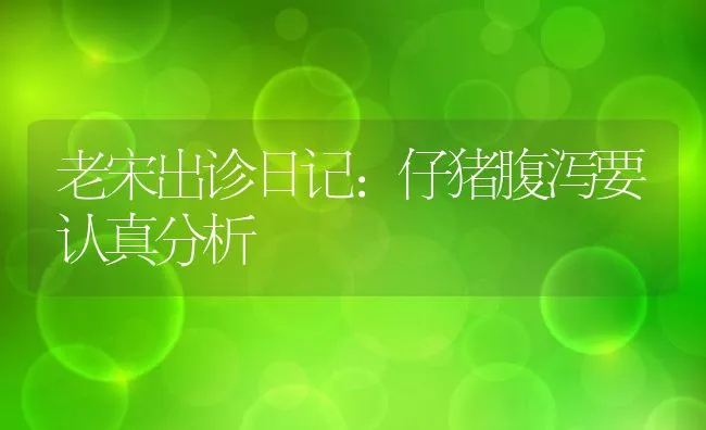 老宋出诊日记：仔猪腹泻要认真分析 | 动物养殖学堂