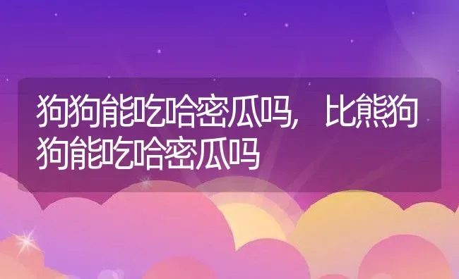 狗狗能吃哈密瓜吗,比熊狗狗能吃哈密瓜吗 | 宠物百科知识