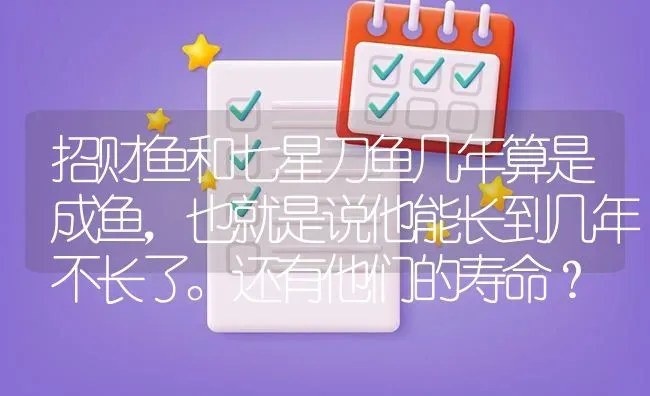 招财鱼和七星刀鱼几年算是成鱼，也就是说他能长到几年不长了。还有他们的寿命？ | 鱼类宠物饲养