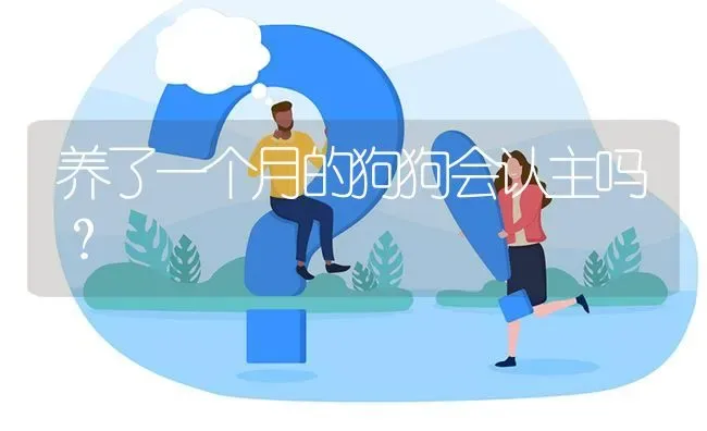 养了一个月的狗狗会认主吗？ | 动物养殖问答