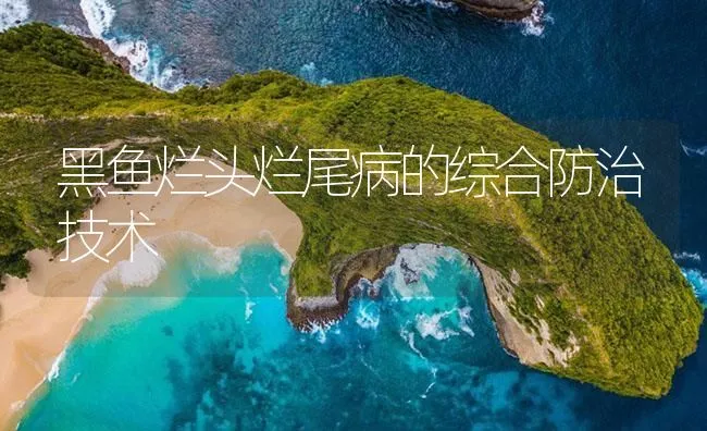 黑鱼烂头烂尾病的综合防治技术 | 海水养殖技术