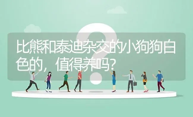 比熊和泰迪杂交的小狗狗白色的，值得养吗？ | 动物养殖问答