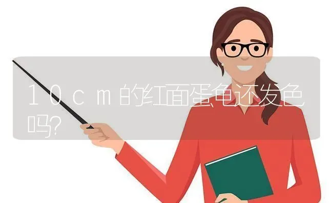 10cm的红面蛋龟还发色吗？ | 动物养殖问答