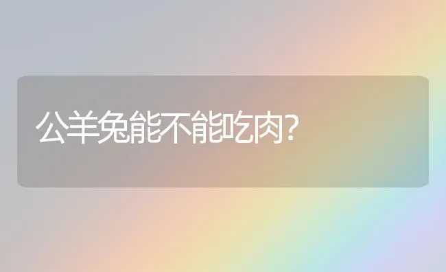 公羊兔能不能吃肉？ | 动物养殖问答