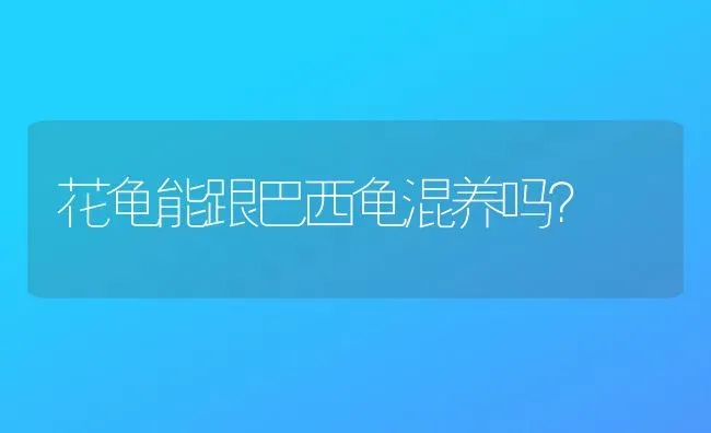 花龟能跟巴西龟混养吗？ | 动物养殖问答