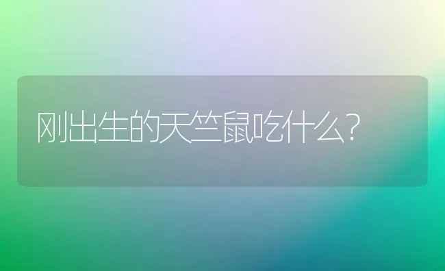 刚出生的天竺鼠吃什么？ | 动物养殖问答