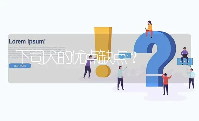 下司犬的优点缺点？ | 动物养殖问答