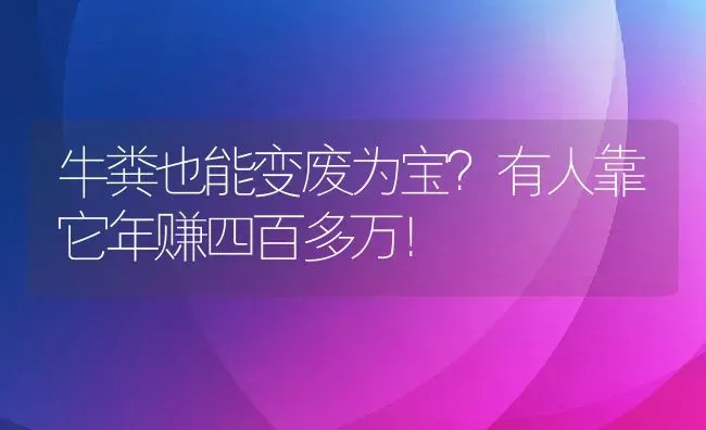 牛粪也能变废为宝？有人靠它年赚四百多万！ | 动物养殖百科