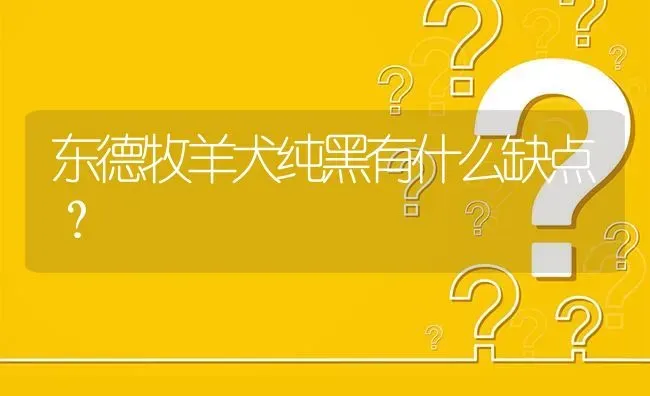 东德牧羊犬纯黑有什么缺点？ | 动物养殖问答