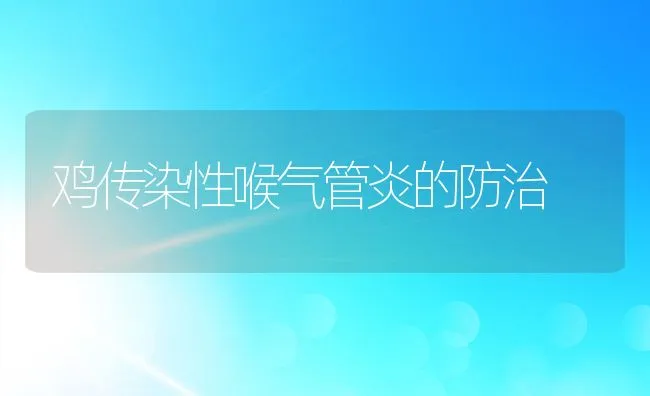 鸡传染性喉气管炎的防治 | 动物养殖学堂