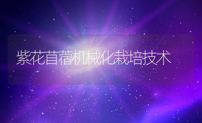 鲟鱼养殖之卵霉病防治技术 | 海水养殖技术