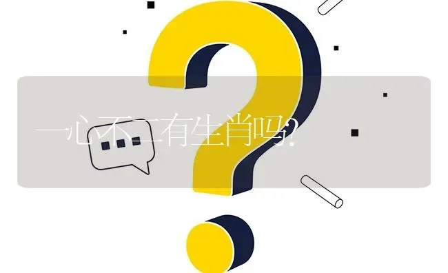 一心不二有生肖吗？ | 动物养殖问答