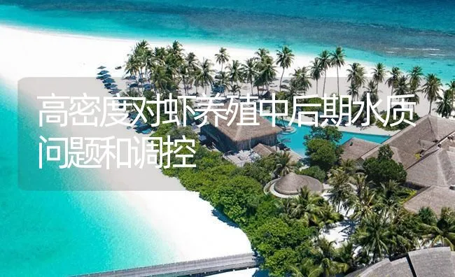 高密度对虾养殖中后期水质问题和调控 | 海水养殖技术