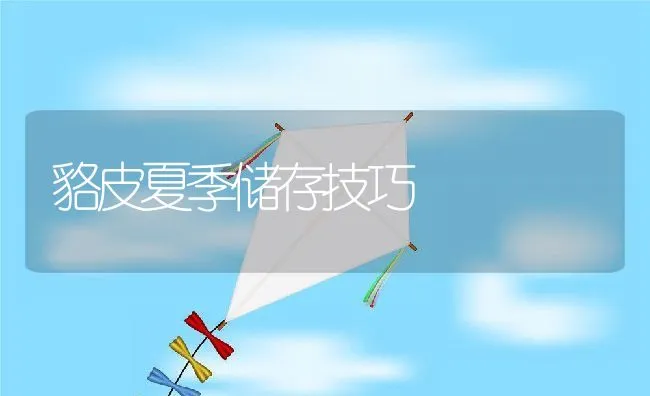 貉皮夏季储存技巧 | 水产养殖知识