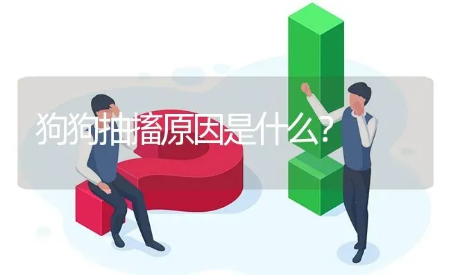 狗狗抽搐原因是什么？ | 动物养殖问答
