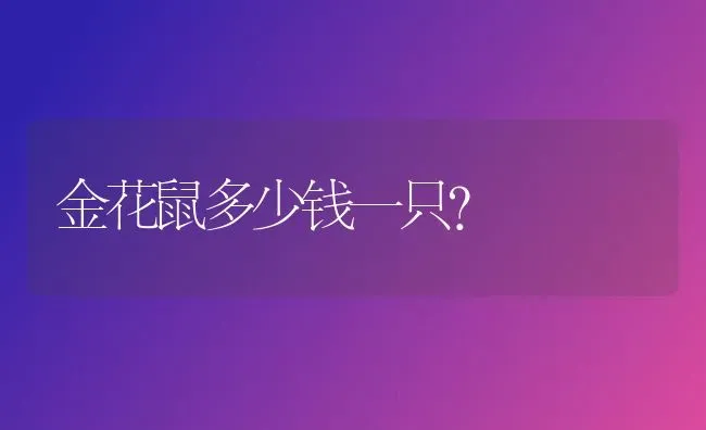 茶杯犬为什么长不大?茶杯型和微小型犬有什么区别？ | 动物养殖问答