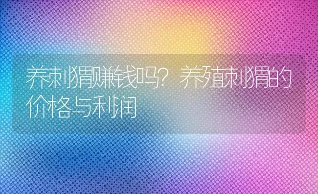 养刺猬赚钱吗？养殖刺猬的价格与利润 | 动物养殖百科