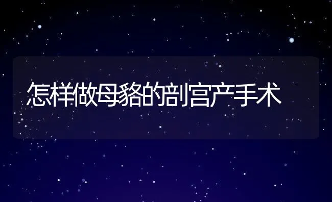 怎样做母貉的剖宫产手术 | 动物养殖学堂