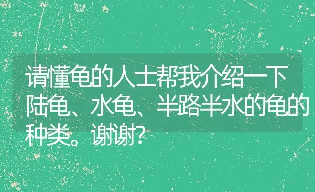 请懂龟的人士帮我介绍一下陆龟、水龟、半路半水的龟的种类。谢谢？ | 动物养殖问答