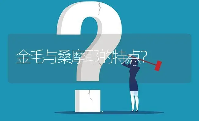 金毛与桑摩耶的特点？ | 动物养殖问答