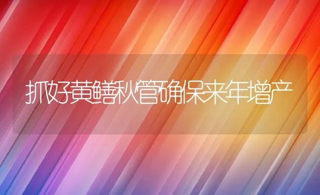 抓好黄鳝秋管确保来年增产 | 水产养殖知识