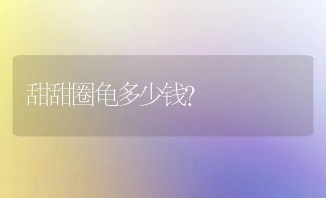 甜甜圈龟多少钱？ | 动物养殖问答