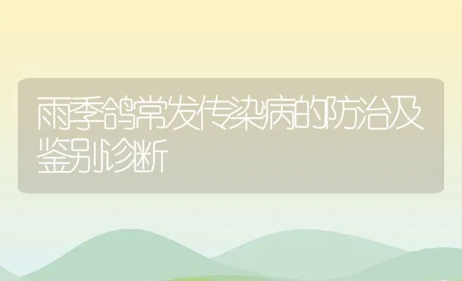 雨季鸽常发传染病的防治及鉴别诊断 | 动物养殖学堂