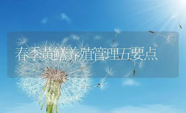 春季黄鳝养殖管理五要点 | 动物养殖百科