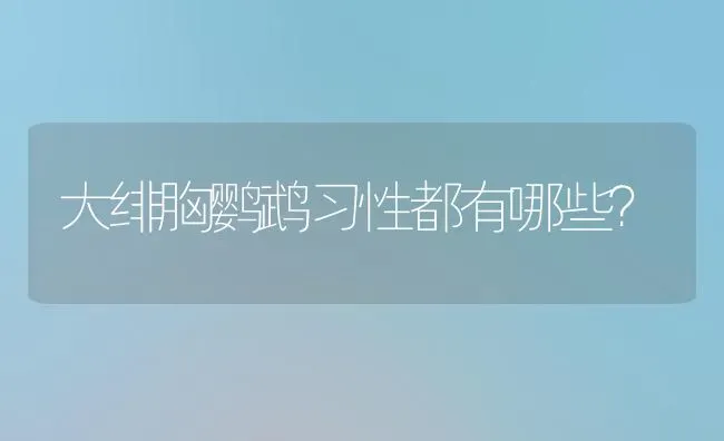 大绯胸鹦鹉习性都有哪些？ | 动物养殖问答