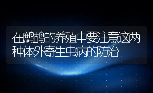 在鹧鸪的养殖中要注意这两种体外寄生虫病的防治 | 动物养殖百科