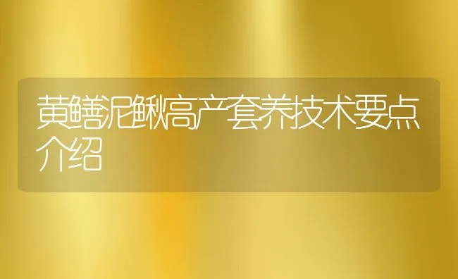 黄鳝泥鳅高产套养技术要点介绍 | 水产养殖知识