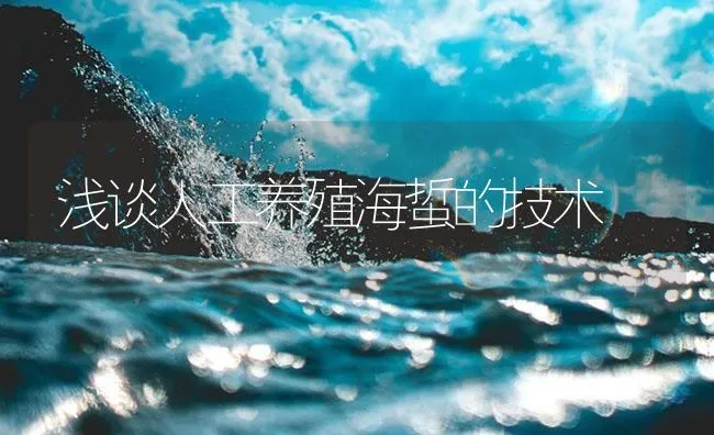 浅谈人工养殖海蜇的技术 | 海水养殖技术