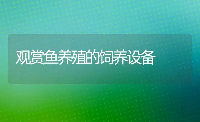 观赏鱼养殖的饲养设备 | 动物养殖教程