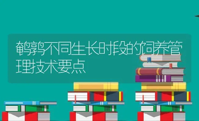 鹌鹑不同生长时段的饲养管理技术要点 | 动物养殖饲料