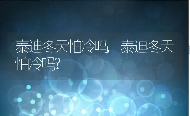 泰迪冬天怕冷吗,泰迪冬天怕冷吗? | 宠物百科知识