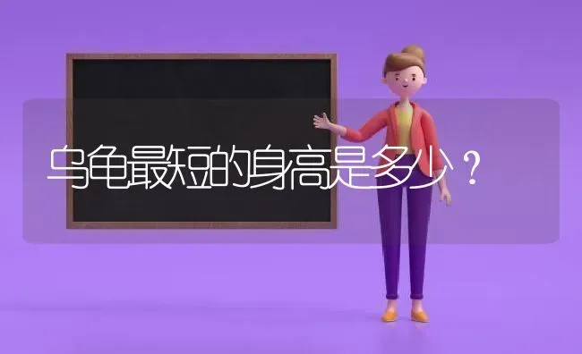 乌龟最短的身高是多少？ | 动物养殖问答